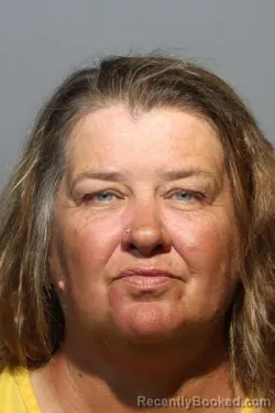 Mugshot of TAMMY MCHALE SILVIA booked in Seminole County, Florida on March 11, 2026