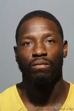 Mugshot of JOHNELLE BROOKS booked in Seminole County, Florida on March 12, 2026