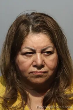 Mugshot of FARAH VAFADAR booked in Seminole County, Florida on March 12, 2026