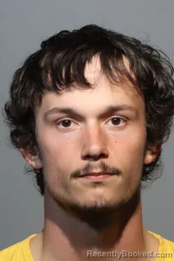 Mugshot of XAVIER VAUGHN MCMICHAEL booked in Seminole County, Florida on March 12, 2026