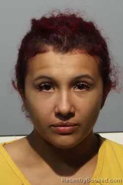 Mugshot of YARLINE TORRES booked in Seminole County, Florida on March 12, 2026