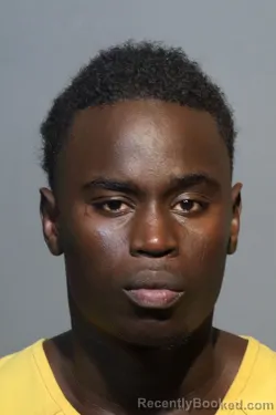 Mugshot of MAME CHEIKHIBRAHIMA HOYECK booked in Seminole County, Florida on March 13, 2026