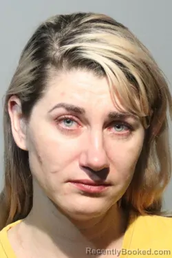 Mugshot of CORINA BRINZANOVA booked in Seminole County, Florida on March 14, 2026