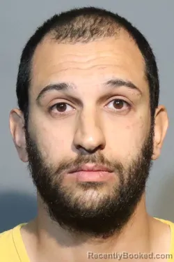 Mugshot of LOUIE SHEHADEH booked in Seminole County, Florida on March 14, 2026