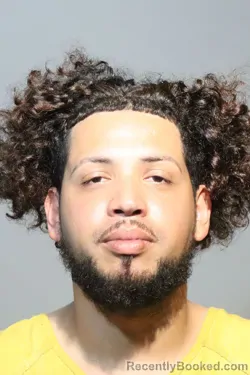 Mugshot of RICARDO MANUEL ORTIZ