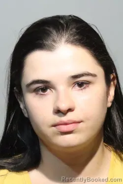Mugshot of ISABELA SIERRA VILLAMIL