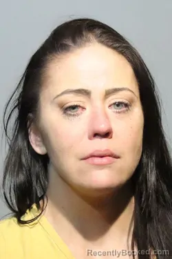 Mugshot of NICOLE MARIE FOKOS