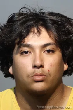 Mugshot of ALEJANDRO ESCOBEDO