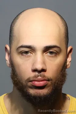 Mugshot of IDREES SAJID RAZAA