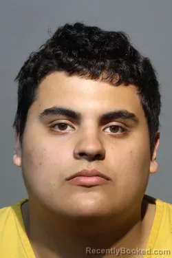 Mugshot of LUIS ARTURO SILVA RICO