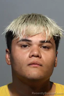 Mugshot of CESAR DAMIAN LERMA URREA