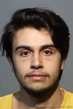 Mugshot of HAMAD MHE ALZAID