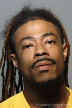 Mugshot of JOSE BURKE