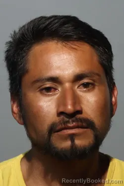 Mugshot of ZENAIDO HERNANDEZ-LOPEZ