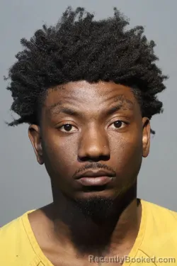 Mugshot of LEAHCIM HEBO ORELUS