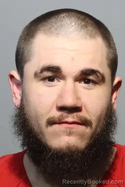 Mugshot of CHRISTOPHER LESLIE