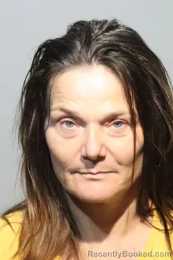 Mugshot of ALLISON MARIE DESANTO