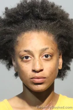 Mugshot of ARYANNA DOMINIQUE ROBINSON