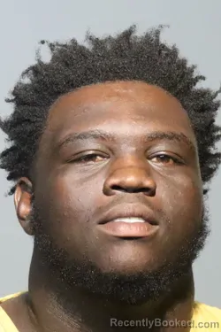 Mugshot of TREYON CORNELIOUS PERKINS