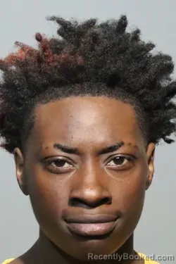 Mugshot of TYREEONA LAFAYETTE