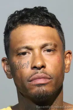 Mugshot of MANUEL OMAR DUPREY