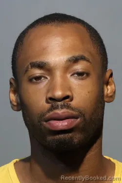 Mugshot of TODD DESHAY NEWTON