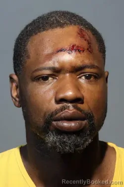 Mugshot of DARRYLL LEBRONE LUSTER