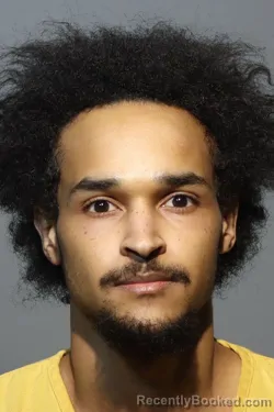 Mugshot of CHRISTIAN ANTHONY BINGHAM