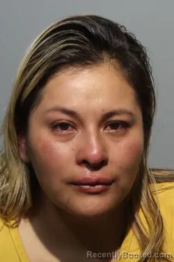 Mugshot of NANCY GIABETH ALI LOPEZ