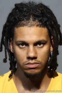 Mugshot of JAY CALCEDO