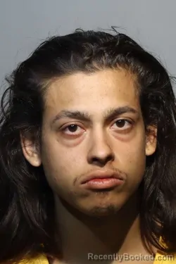 Mugshot of BRANDON GARCIA