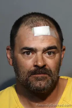 Mugshot of RALPH ROBERT NERO