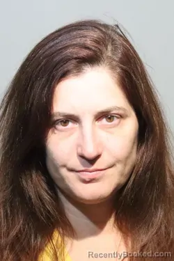Mugshot of AMANDA VEINO-FONSECA