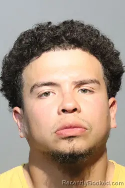 Mugshot of JERAL LOPEZ ALONSO