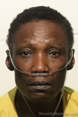 Mugshot of LISA ANN JORDAN