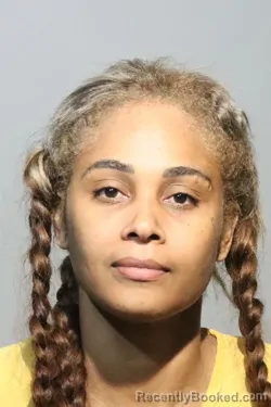 Mugshot of JOSEFINA ILUMINADA GALVAN FRANSUA