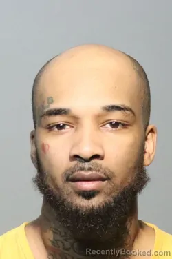 Mugshot of DAVID MARQUISE WILLIAMS