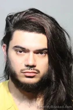 Mugshot of ALLAN JONATHAN PIERI