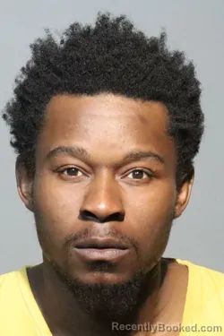 Mugshot of JAMES ROBINSON