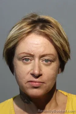 Mugshot of ALLISON LYNN LEONE