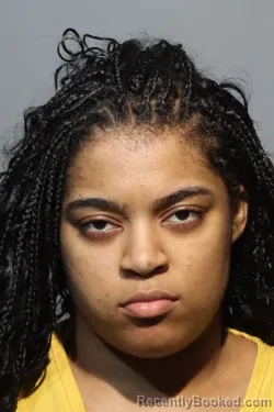 Mugshot of BRIANNA GISBEL SYDNEYS