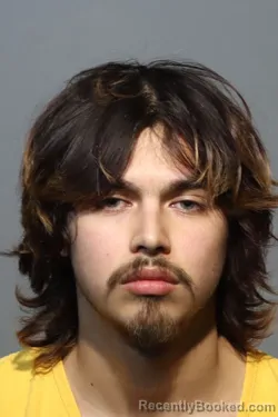 Mugshot of SEAN LUIS IWINSKI