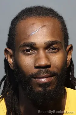 Mugshot of WILBERSON JEROME