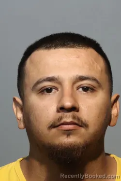 Mugshot of ASUNCION SANDOVAL