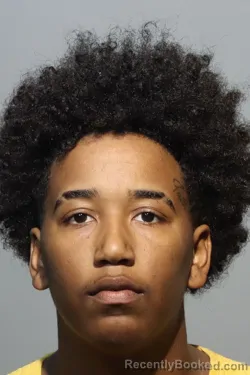 Mugshot of CHELLCE MADISON TRIMBLE