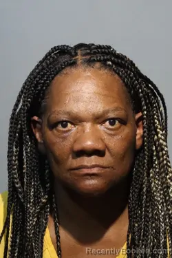 Mugshot of THERESA ANN BROOKS