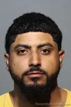 Mugshot of DERECK MICHAEL ALMODOVAR BATISTA