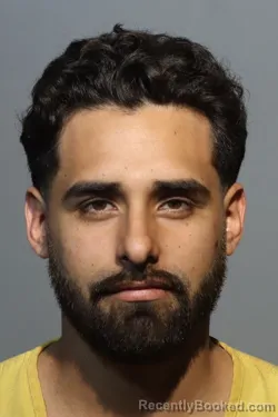 Mugshot of LUIS ARTURO ARIZA BANCE