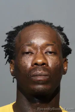 Mugshot of ANDRE WAYNE WILLIAMS