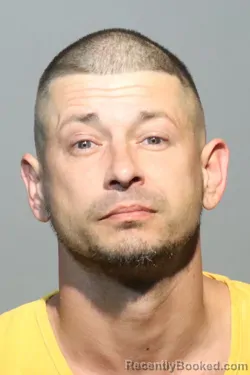 Mugshot of ROBERT LEE